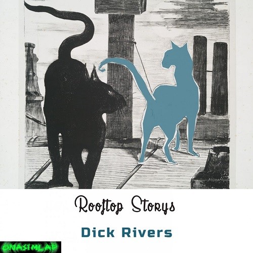 Pochette de l'album Rooftop Storys, 2018